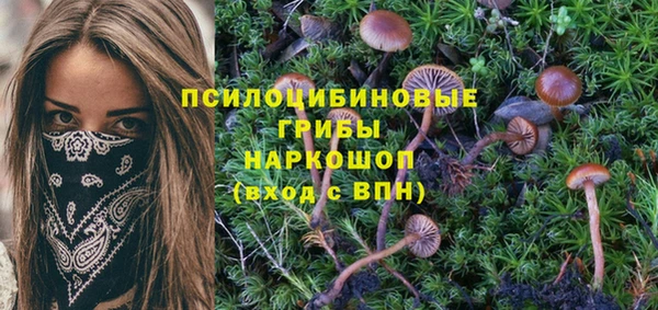 молекула духа Лагань