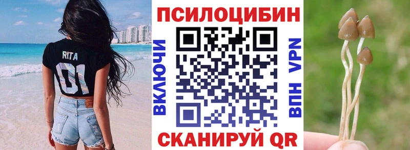 Купить  Канаш  Псилоцибиновые грибы Magic Shrooms 